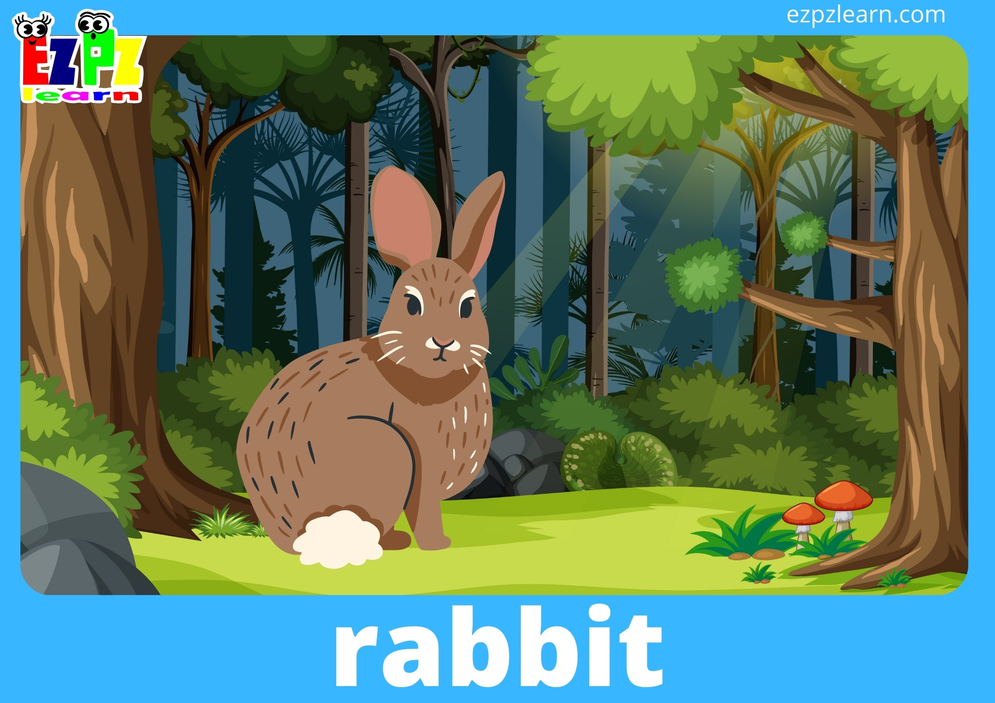 rabbit